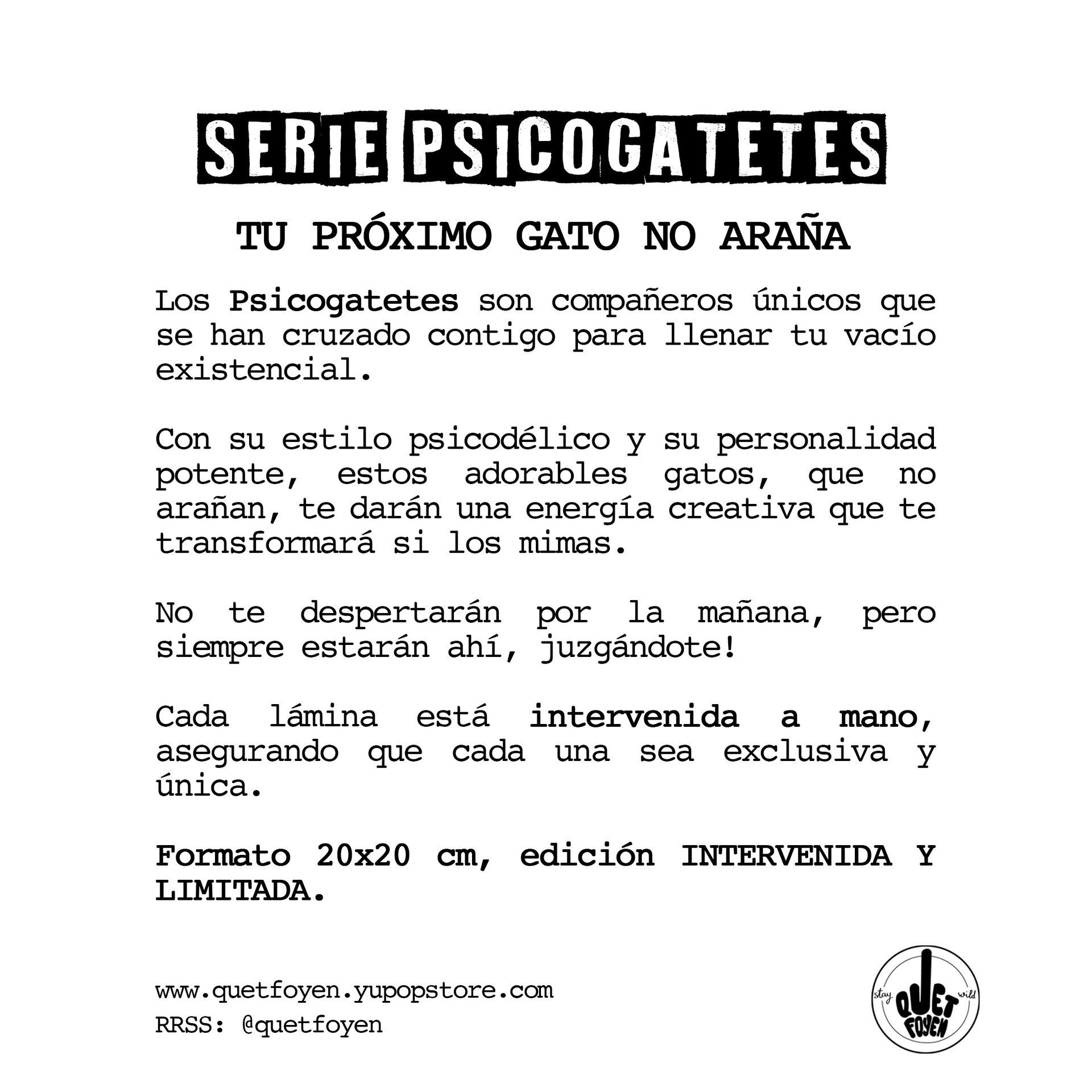 Lámina PsicoGatete Kattia - 4